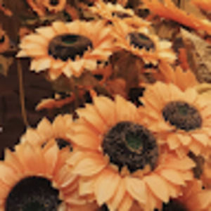 Meet your Posher, Nola